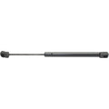 Lift Support for Chrysler 300 (2005-2010) - Hood Strut Replacement
