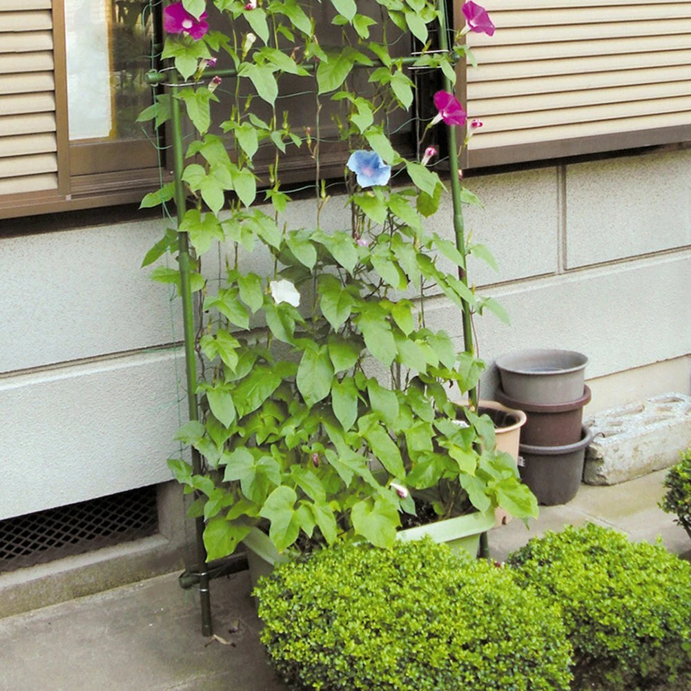 Durable Green Plastic Trellis Netting for Climbing Plants