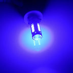 Ultra Blue LED Fog Lights for Honda Accord (2006–2015)