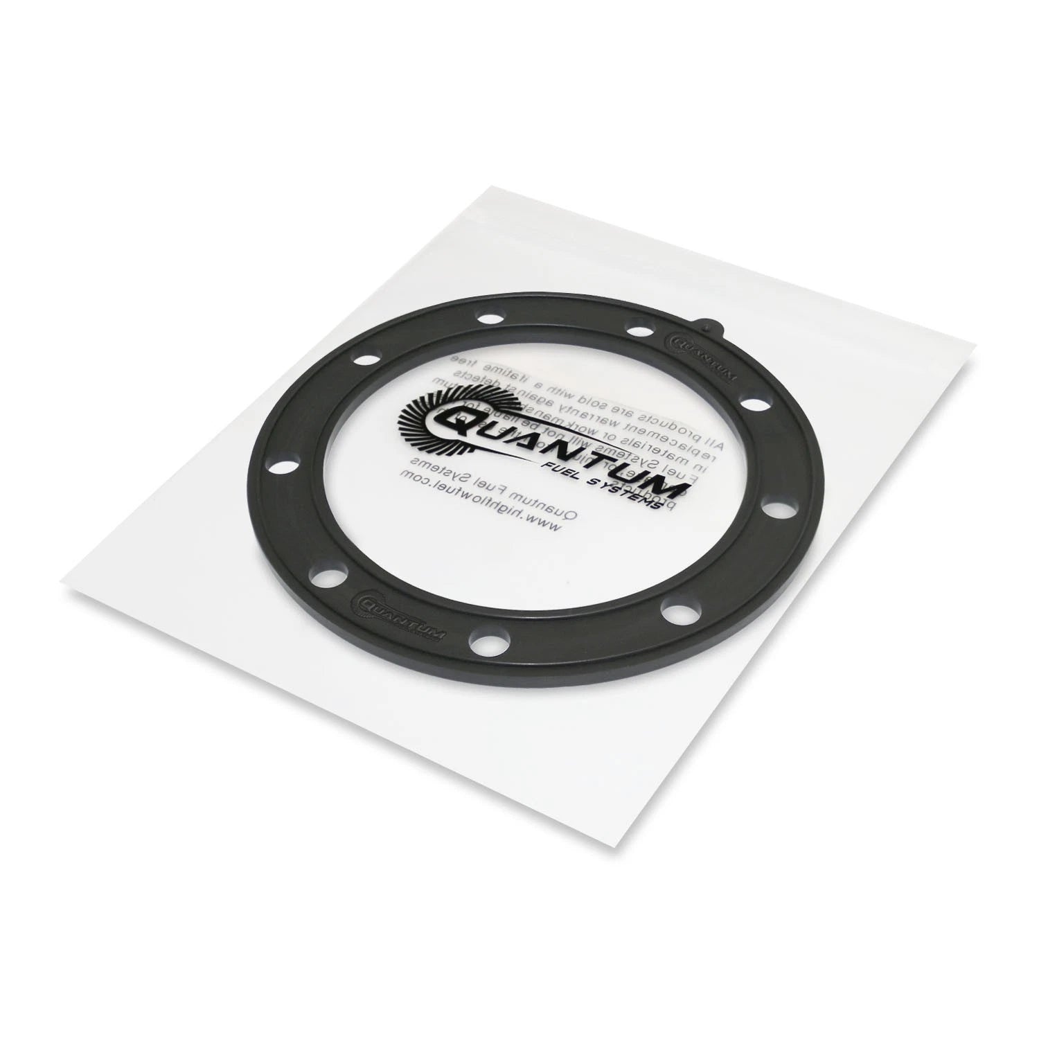 QFS Fuel Pump Set with Regulator, Gasket, Strainer for Sea-Doo 3D RFI (2004–2005)