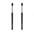 Trunk Lid Lift Support for - Rear Driver & Passenger Side