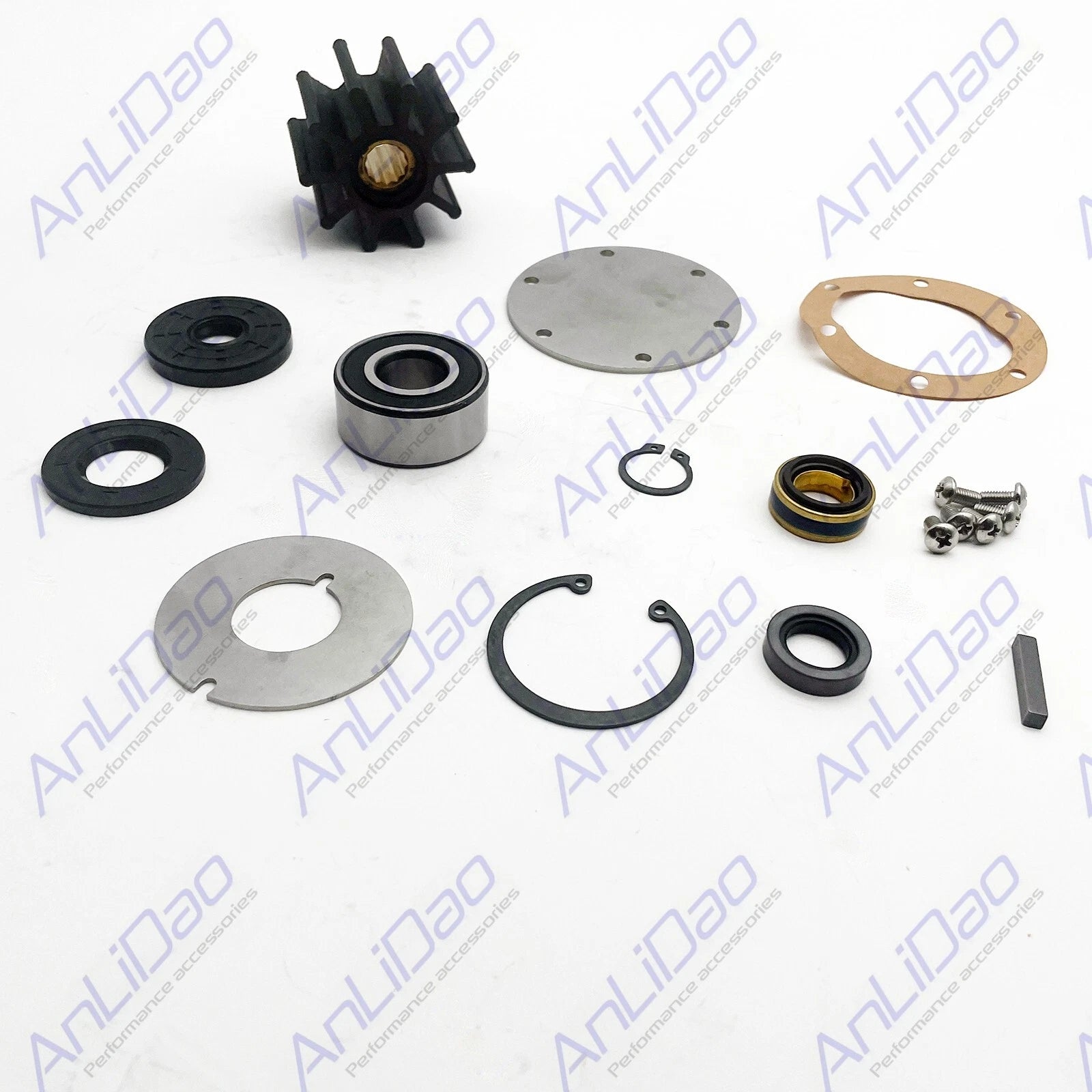 Major Repair Kit for Jabsco 8.2 CAT 3208 Sea Water Pump (777-9001)