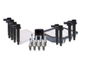 Set of 8 Denso Platinum TT Spark Plugs for Lexus GS430 (2001–2006)