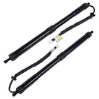 Pair Rear Tailgate Lift Support Struts for Lexus RX350 RX350L RX450hL (2018–2023)