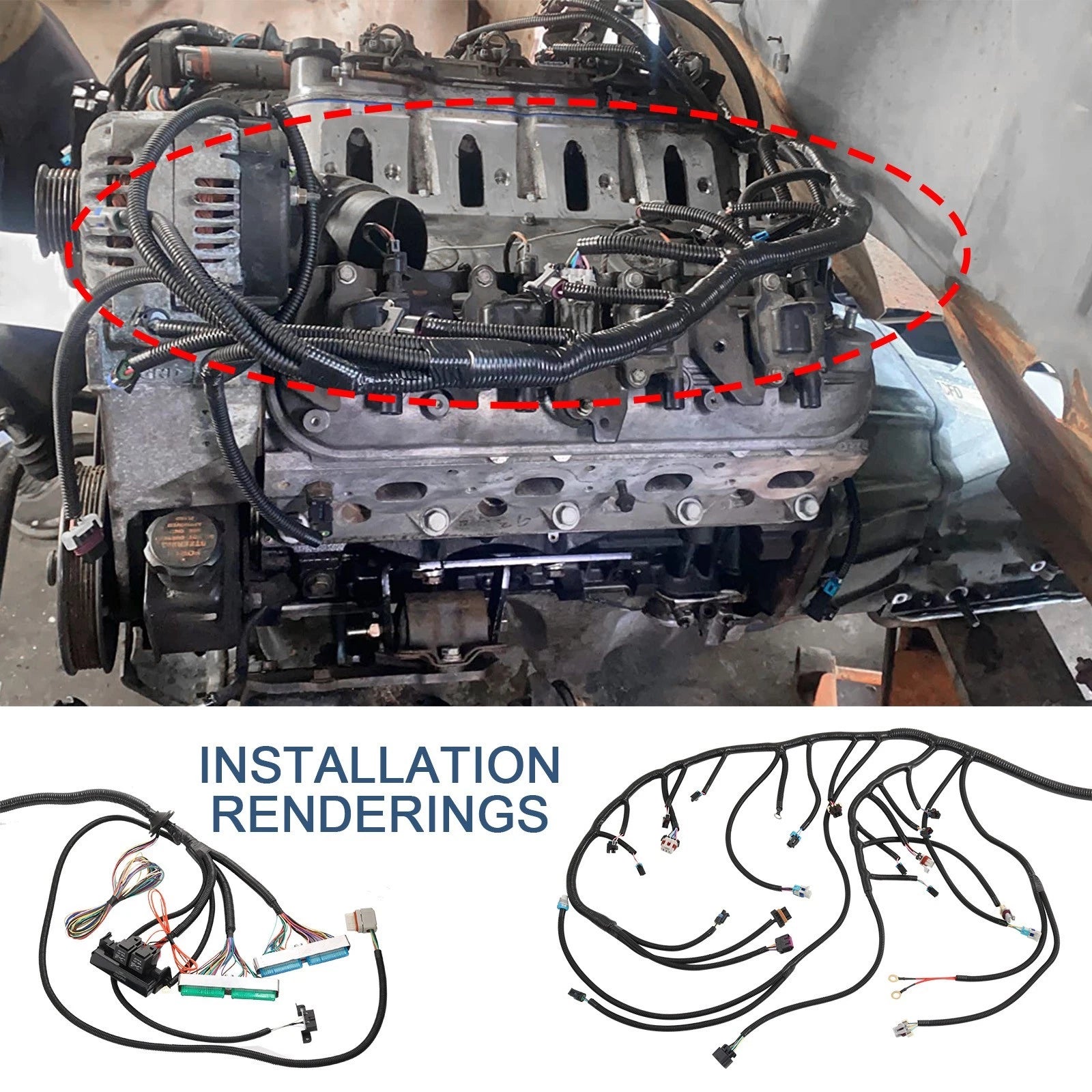T56 Standalone Wire Harness for LS LS3 Vortec (2003-2007)