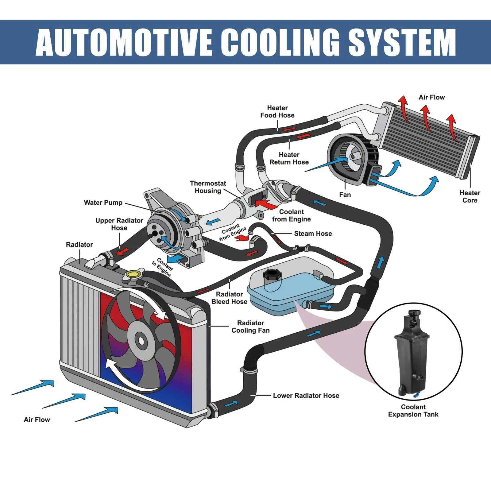 Coolant Radiator Reservoir Tank 17137787039 for BMW 330xi 325Ci 325xi 325i 330Ci (2001–2006)