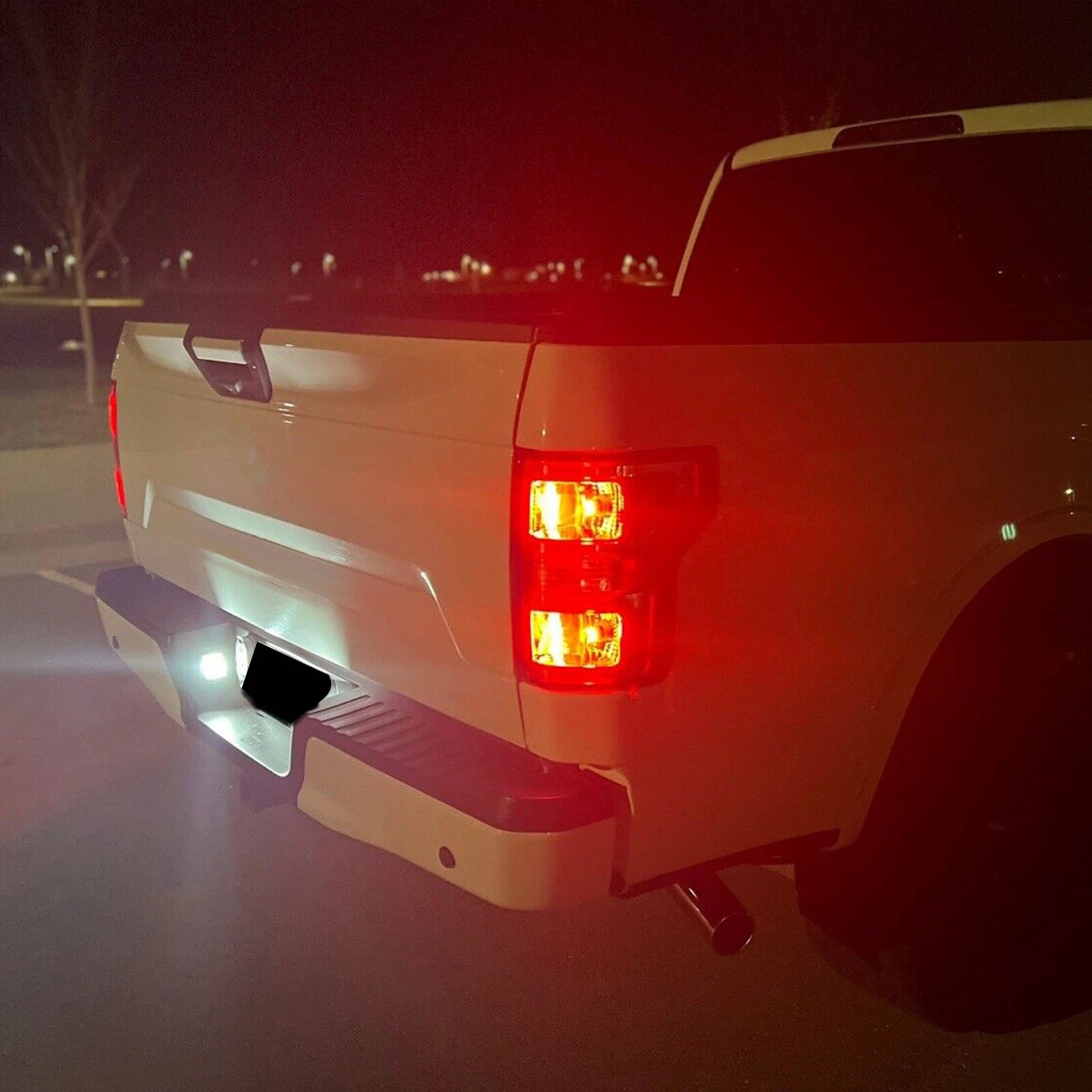 Tail Light Brake Lamp for Ford F150 (2018-2020) RH Passenger