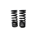 Heavy Duty Front Coil Spring Kit for Chevrolet (4114244)