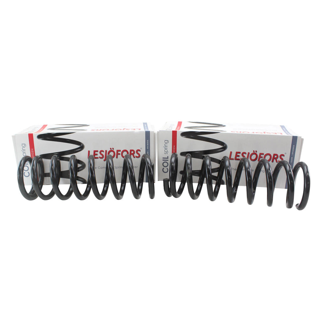 Heavy Duty Front Coil Spring Kit for Buick (4112151)