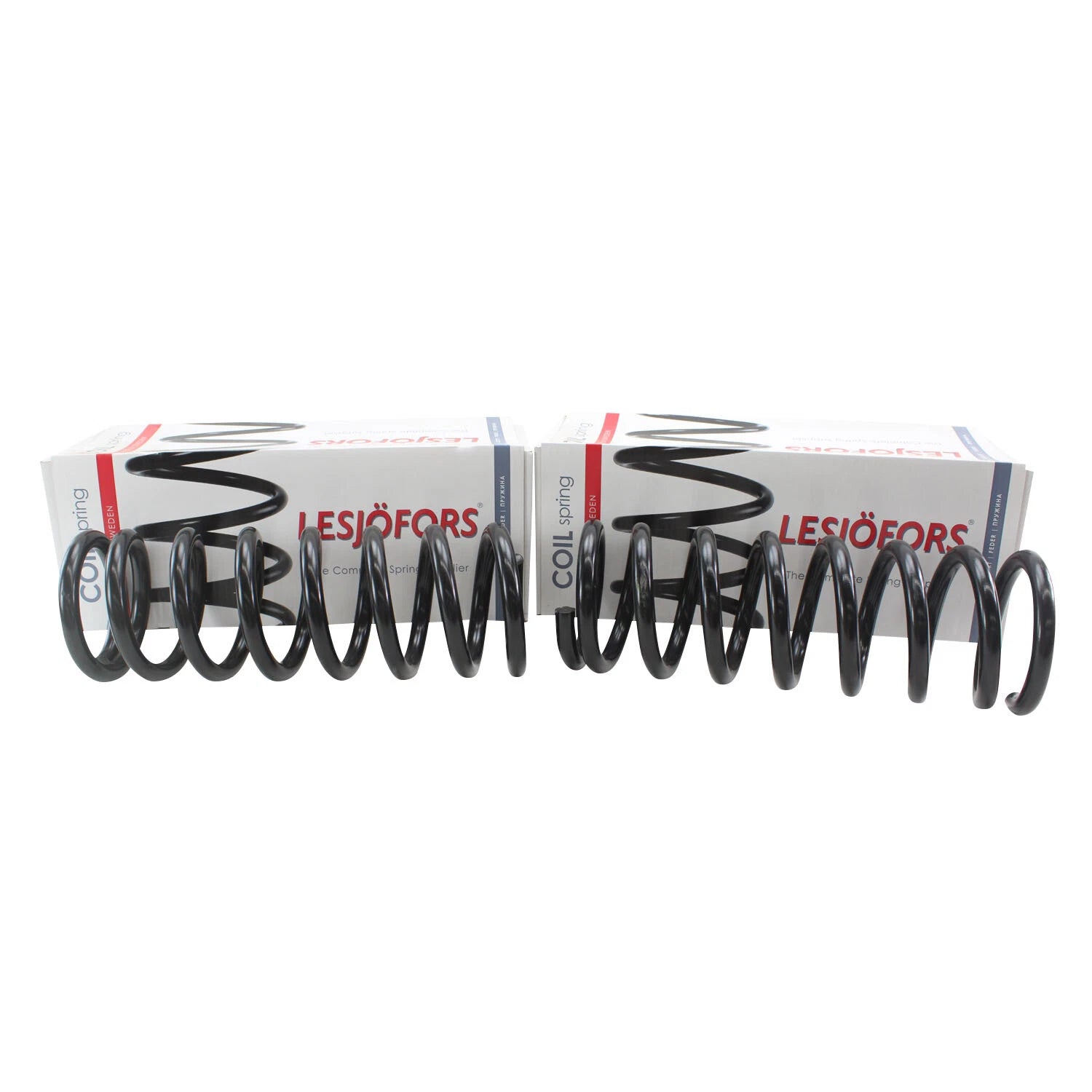Heavy Duty Front Coil Spring Kit for Buick (4112151)