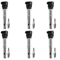 Set of 6 Ignition Coils & NGK Iridium Spark Plugs for Audi Q5 (2009–2017)