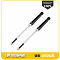 2 Rear Shocks Struts for Toyota Sienna (2004–2020)