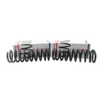 Set of 2 Heavy Duty Front Coil Springs for Buick (4112186)