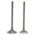 Intake & Exhaust Valves for CFMoto CForce 500 X5 ATV (2015–2023)