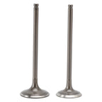 Intake & Exhaust Valves for CFMoto CForce 500 X5 ATV (2015–2023)