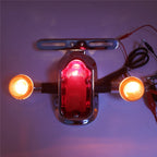 Chrome Rear Brake Tail Light Signal Blinker for Harley FL FLSTN