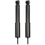 Pair of Struts for Ford F-150 (1985–1996)