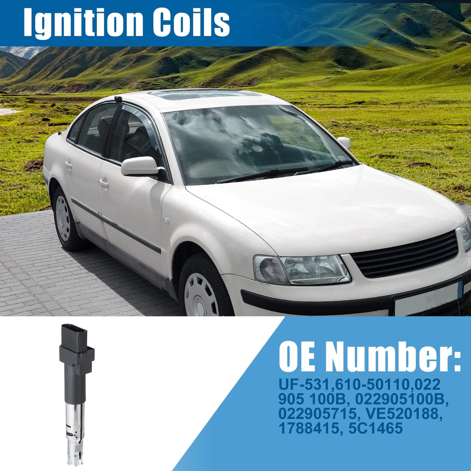 Ignition Coil Set of 2 for Volkswagen Passat, Audi TT (022905100B, 022905715A)