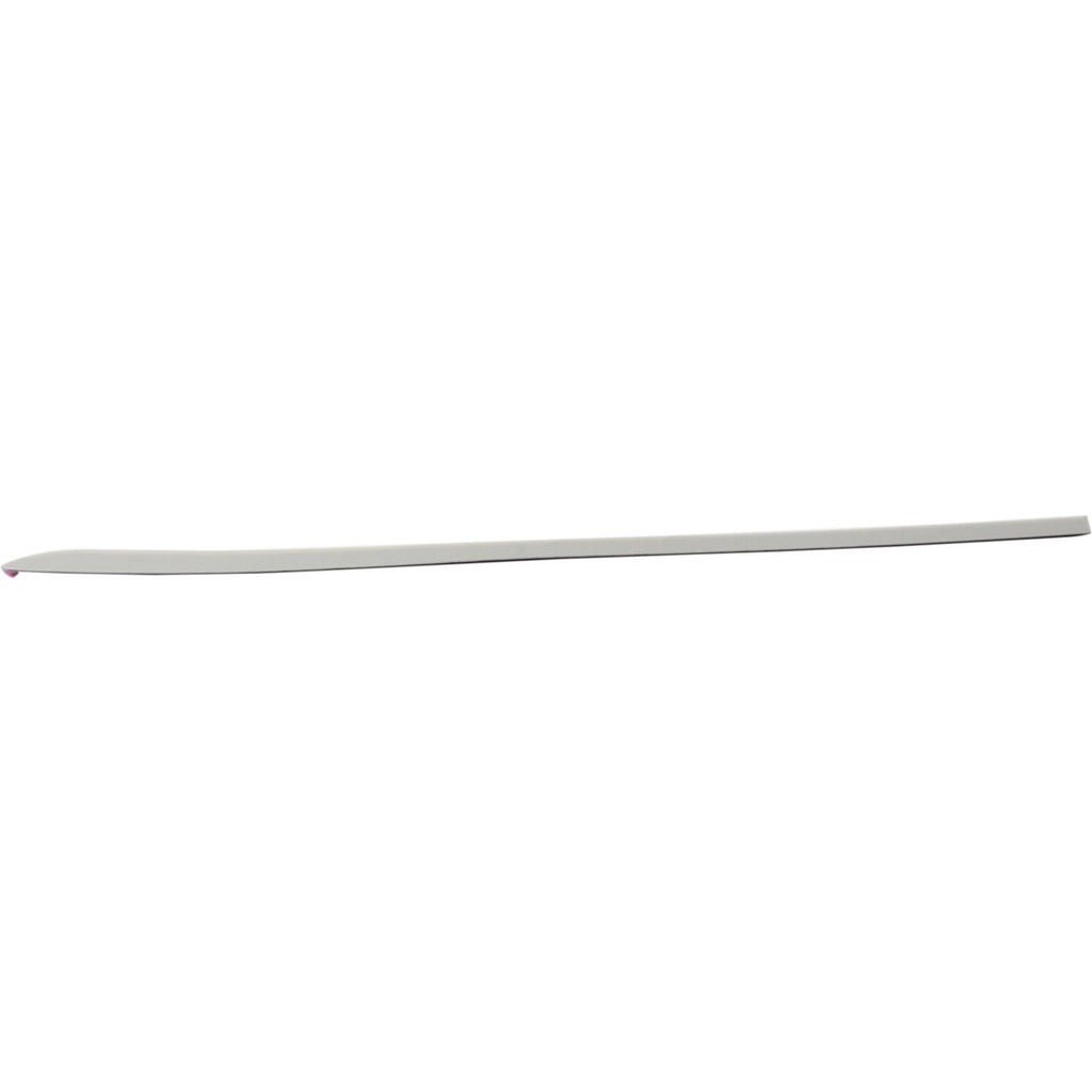 Door Molding for Dodge Grand Caravan (2003–2004)
