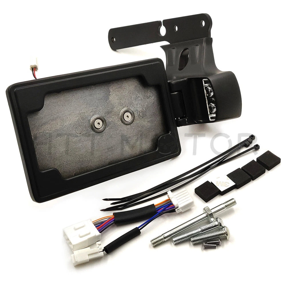 Skull License Plate Bracket with LED Light for Harley Forty Eight XL1200X (2010–2023)