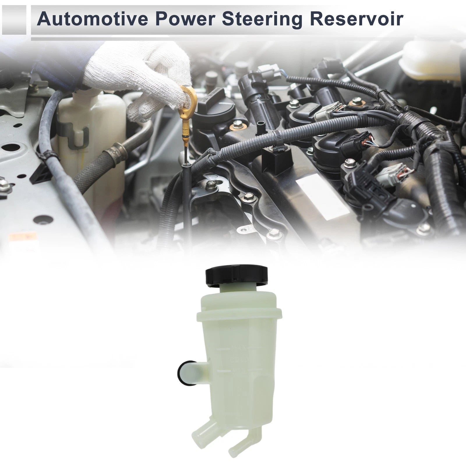 Power Steering Reservoir for Ford Focus (2000–2004) 1 Pc Beige