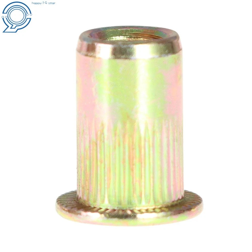 Set of 100 M6 Rivet Nuts for Various Applications