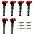 6X Ignition Coils & 6X Spark Plugs for Audi A4 A6 Quattro (2002–2008)