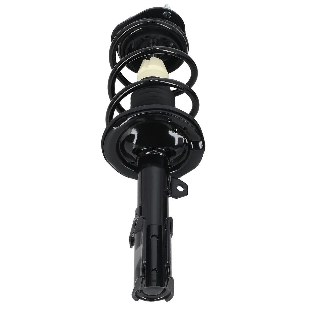 Pair of Struts with Coil Springs for Scion TC (2005–2010)