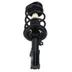 Pair of Struts with Coil Springs for Scion TC (2005–2010)