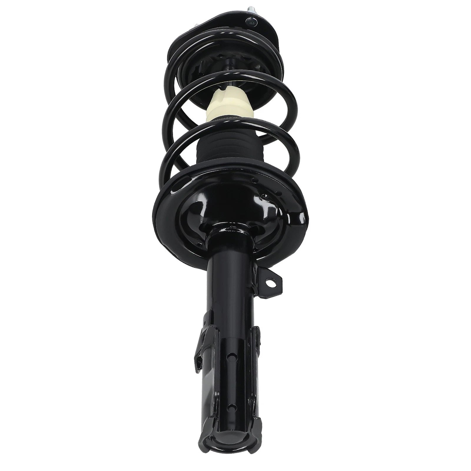 Pair of Struts with Coil Springs for Scion TC (2005–2010)