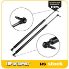 2 Rear Liftgate Struts for Town & Country (2001–2007)