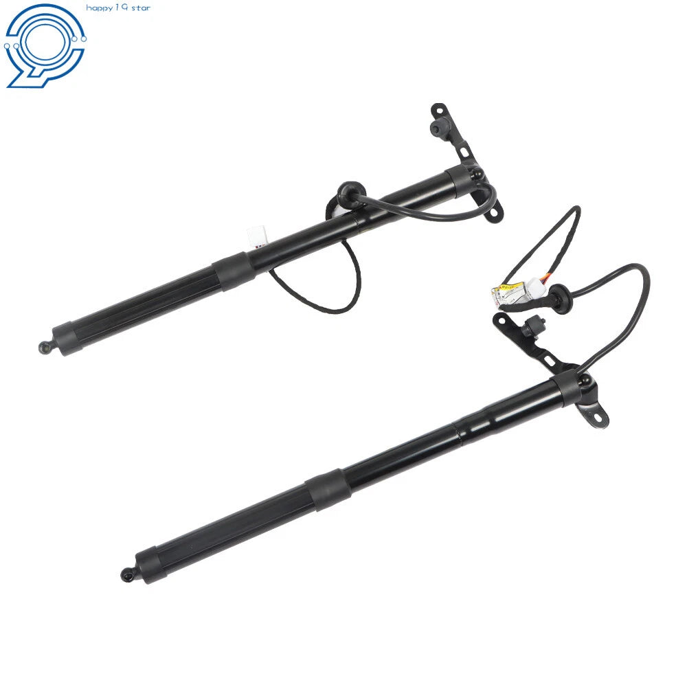 Set of 2 Tailgate Lift Support Struts for Toyota RAV4 (2013-2016)