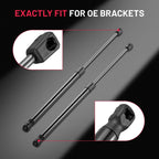 Rear Hatch Lift Supports for Honda Element (2003–2011) SG226011