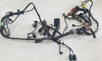 Engine Bay Management Harness with Fuses for Jaguar XJR (2002) LNG3350GB