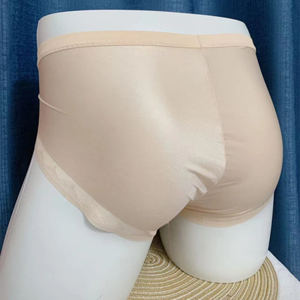 2X Sheer Seamless Breathable Lace Briefs with Pouch Feature for Men