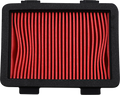 HIFLOFILTRO Air Filter for KTM/Husqvarna (HFA6303)