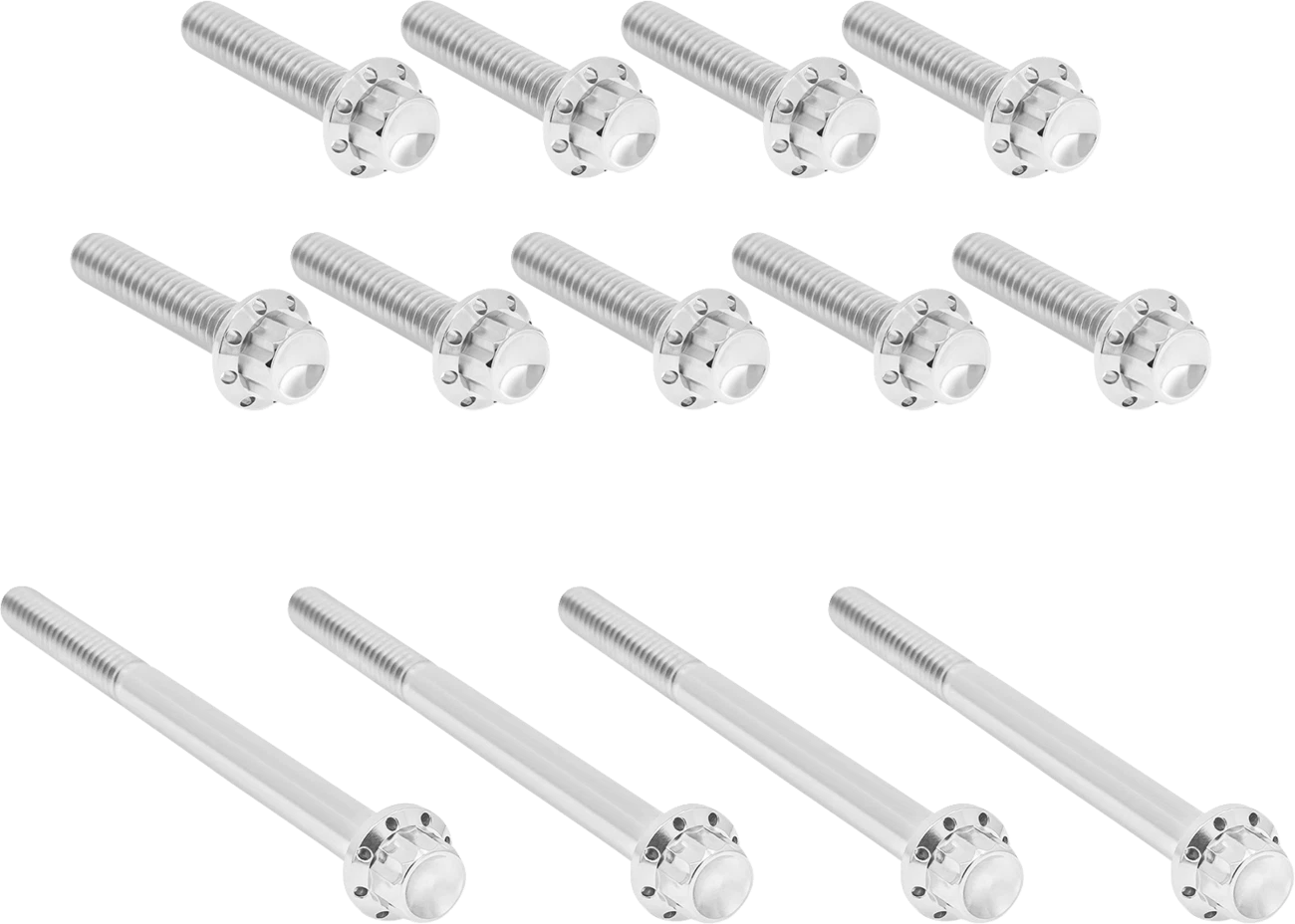 Bolt Kit for Harley Davidson Twin Cam (1999–2017) - Titanium 12-Point Polished