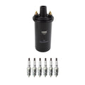 Set of 6 NGK Ignition Coils & Nickel Spark Plugs for Dodge Aspen B100 (2007–2009)