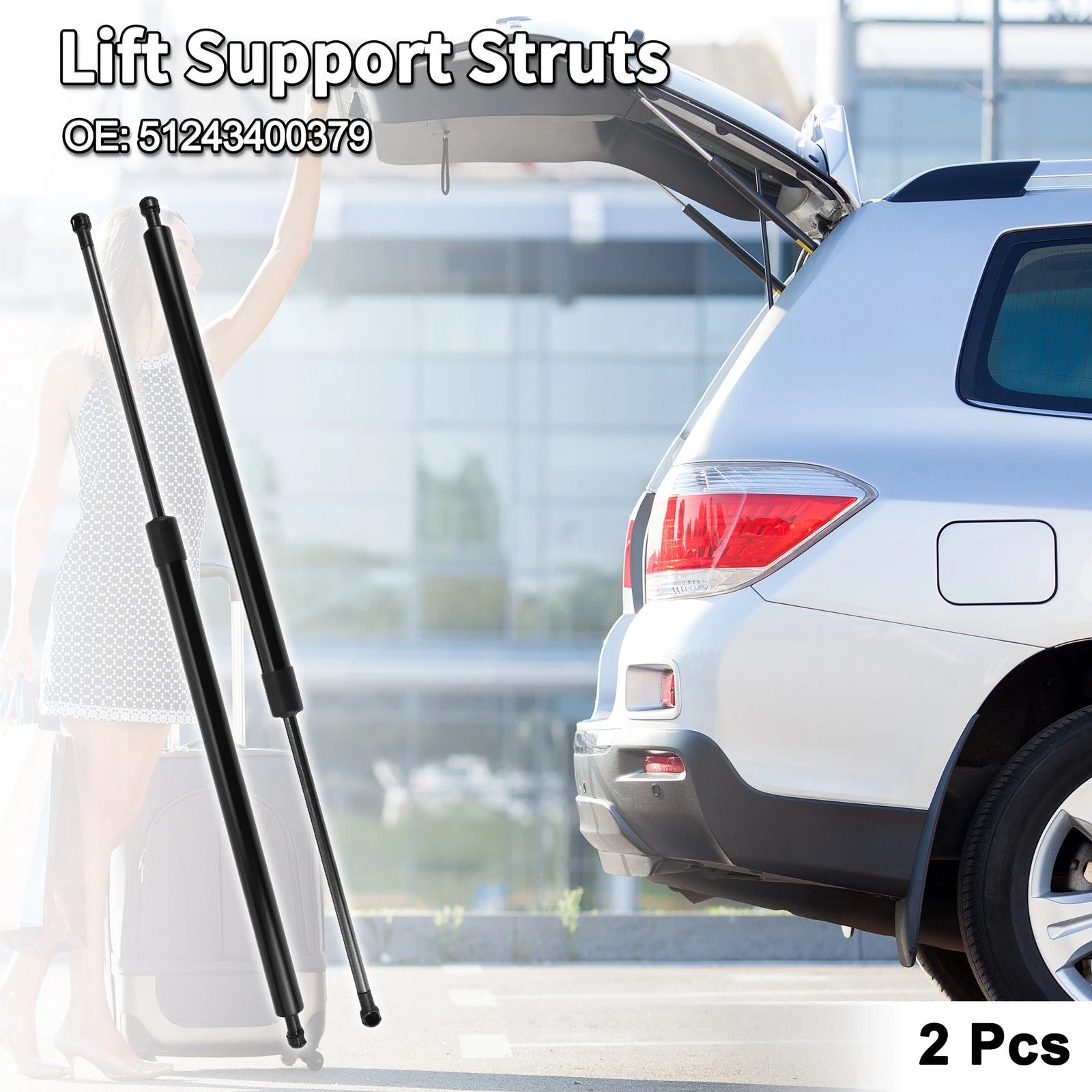 Rear Hatch Lift Supports Struts No. 51243400379 for BMW X3 E83 (2004–2010)