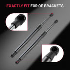 Front Hood Lift Supports for Nissan Murano 2003–2007 (3.5L) 2Pcs