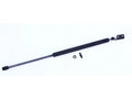 Right Liftgate Lift Support for Mazda Protege5 (2002–2003) ZP434ZB