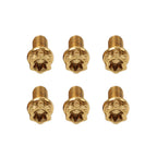 6pcs M6x30mm Titanium Torx Head Flange Bolts for Bike Motorcycle