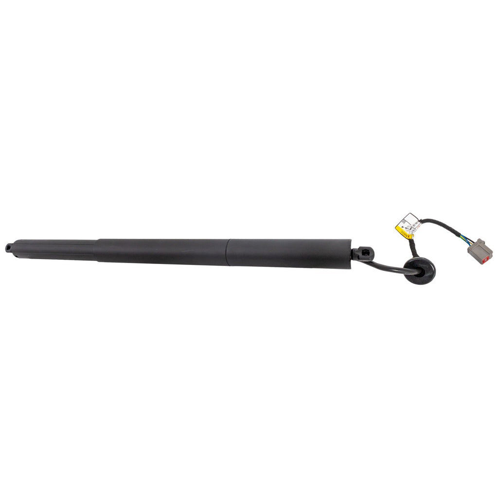Liftgate Lift Supports for Ford Explorer (2015)