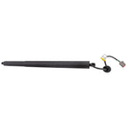 Liftgate Lift Supports for Ford Explorer (2015)