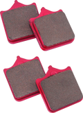 Sintered Brake Pads for BMW S1000RR & S1000R (2010–2016) BM-604.4