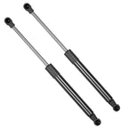 Front Hood Lift Struts for BMW E46 (1998–2000)