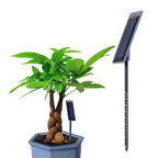 Soil Moisture Meter for Indoor Plants (2023–2023)