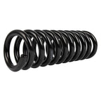 Set of 2 Rear Coil Springs for Chrysler 300 V8 5.7L RWD (2005–2010)