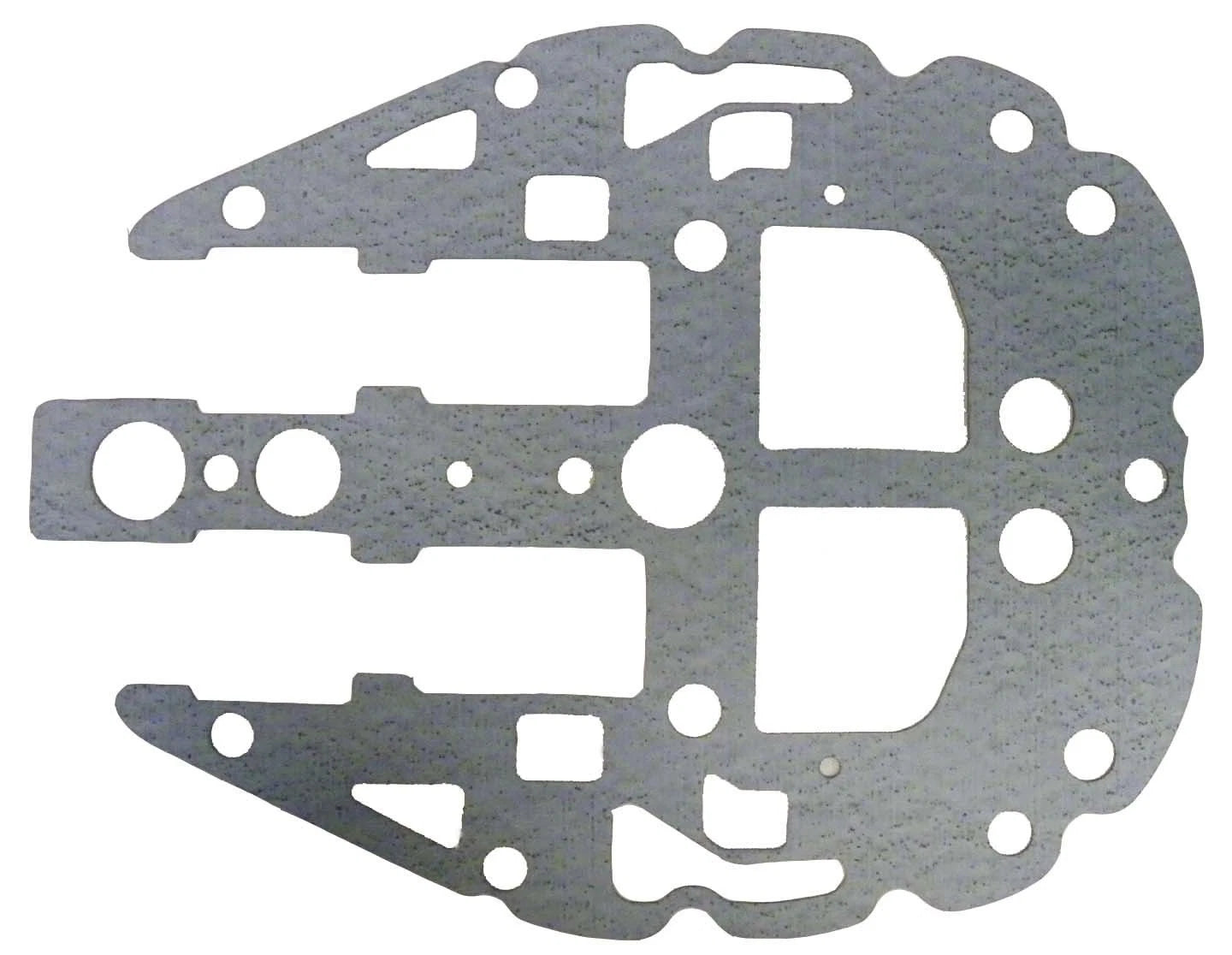 WSM Gasket for