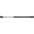 Lift Support for Chrysler 300 (2005–2010) Hood Driver or Passenger Side